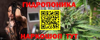 PSILOCYBIN Сланцы