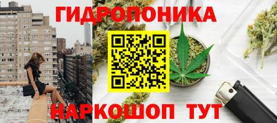 PSILOCYBIN Сланцы