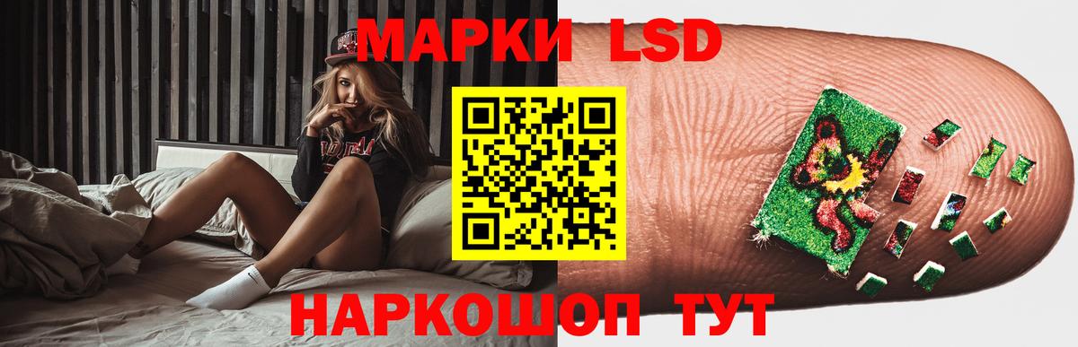 Новозыбков  Лсд 25 экстази ecstasy  Вход с VPN  ЛСД экстази ecstasy 